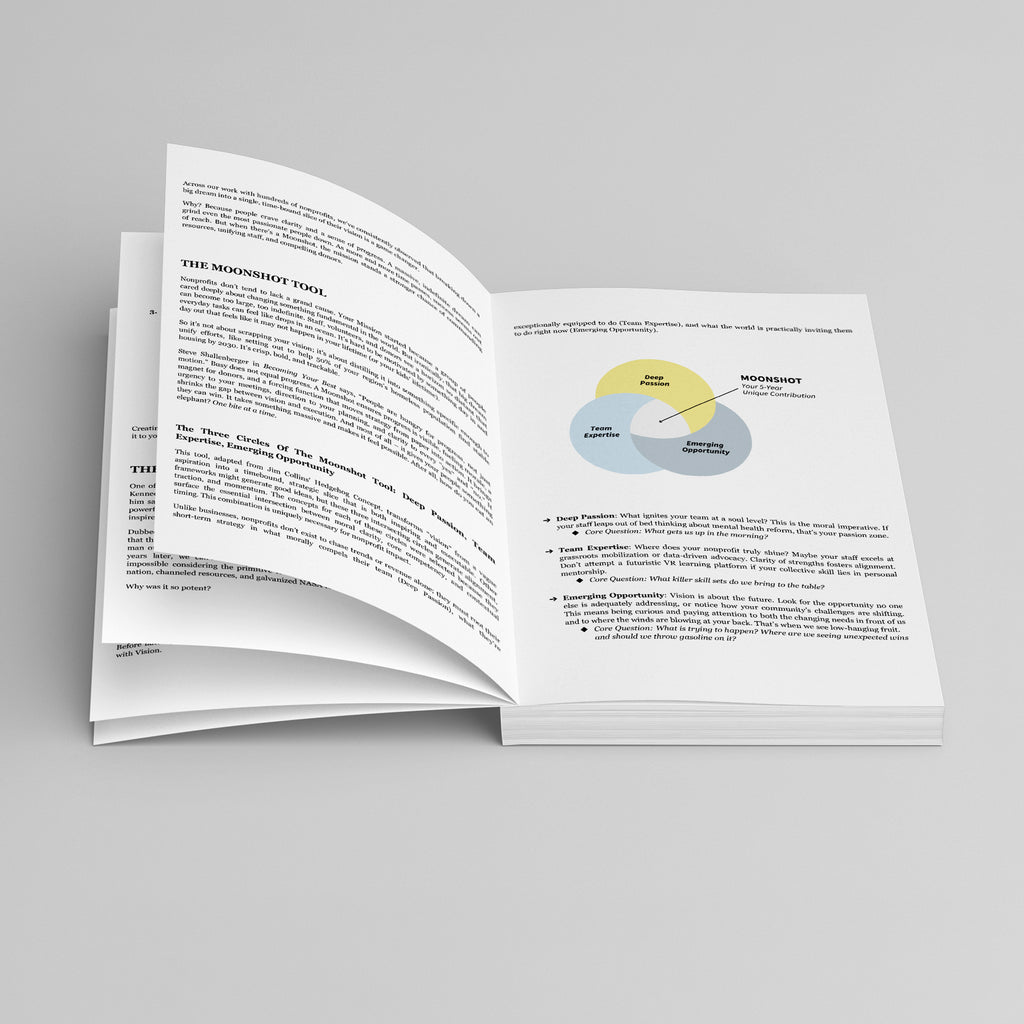 Built for Impact: How Successful Nonprofits Lead, Execute, and Scale What Matters Most